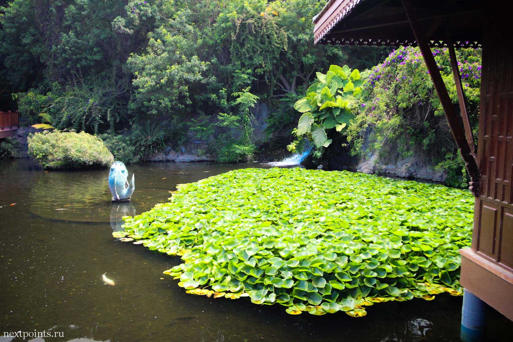 Азиатский вход в Лоро Парк (Loro Park)