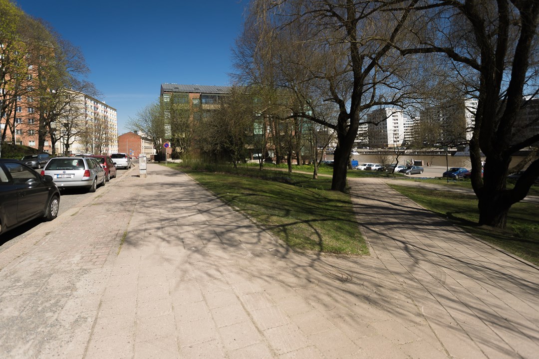 Со всей страны в Турку едут студенты учиться в два известных университета