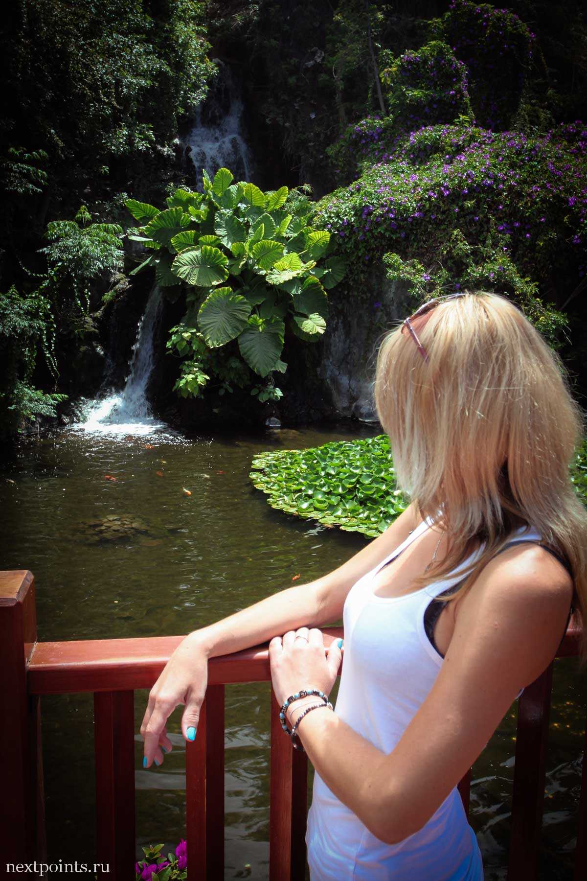 Водопад при входе в Лоро Парк (Loro Park)